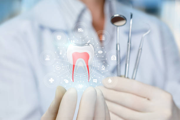 Professional Dental Services in Otsego, MN