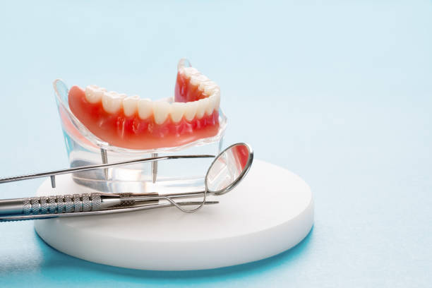  Otsego, MN Dental Services Pros